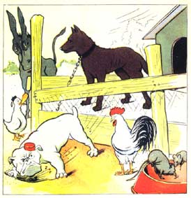 Flits de Herder en Bull de Dog