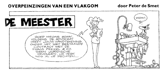 Overpeinzingen van een Vlakgom, door Peter de Smet