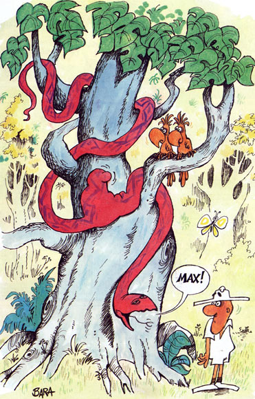 Bara - Max l'Explorateur