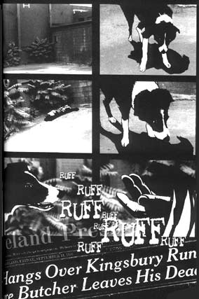 Brian Michael  Bendis