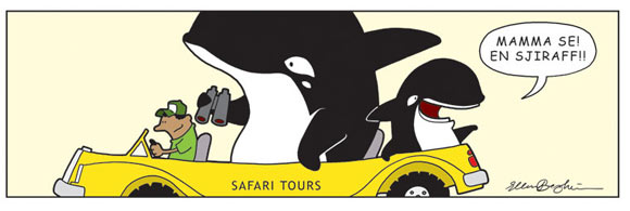 Nonsens by Ellen Bergheim