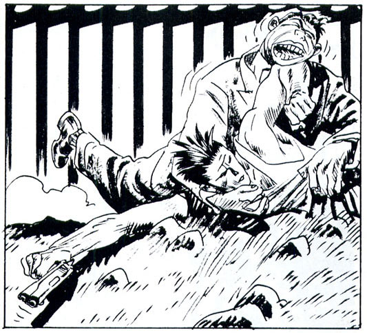 Torpedo, by Jordi Bernet