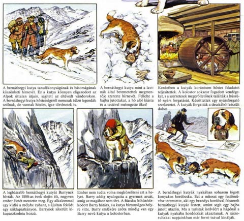 Naturens under, by Charlie Bood