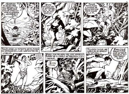 Tamar, by Antonio Borrell