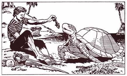 Turtle Boy, by Paddy Brennan