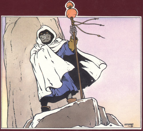 Chats, by Didier Convard