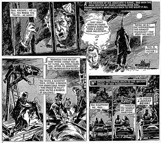 The Curse of Frankenstein by Manuel Cuyas