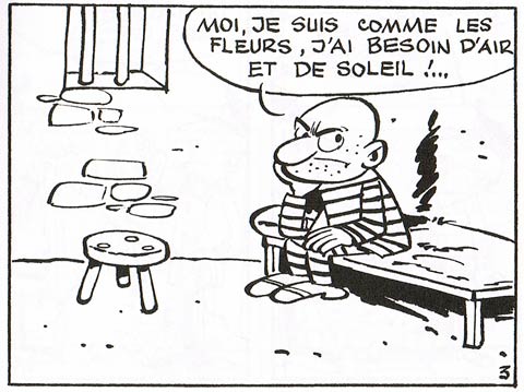 Bobo by Paul Deliège