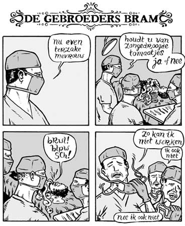 De Gebroeders Bram by Wouter Diesveld