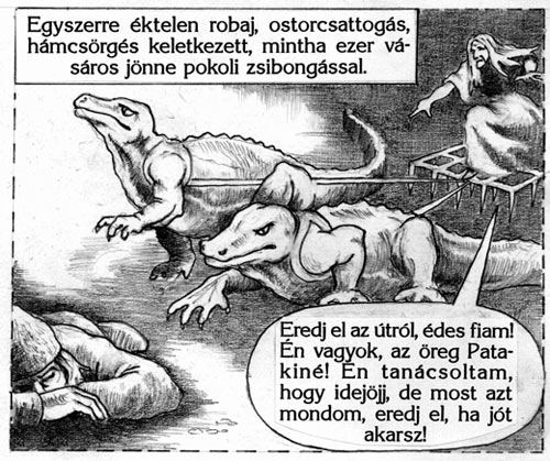 The gum chicken mission by Karoly Donti