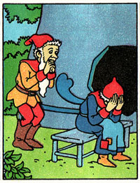 Het Tovervisje by Bart van Erkel