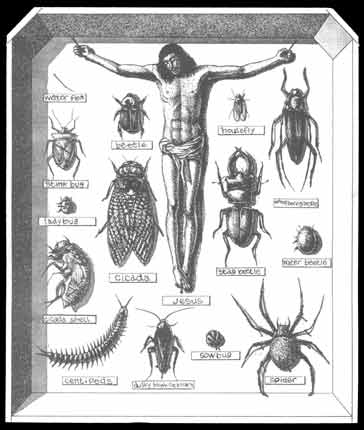 Palepoli, by Usamaru Furuya