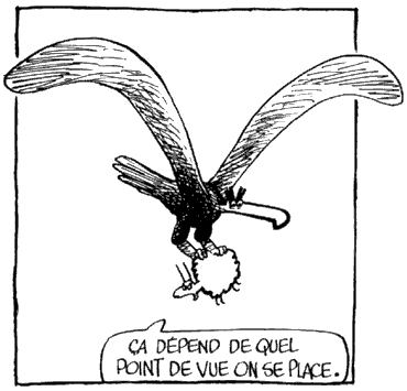 Le Baron Noir, by Yves Got