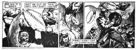 Don Drake by Clem Gretter