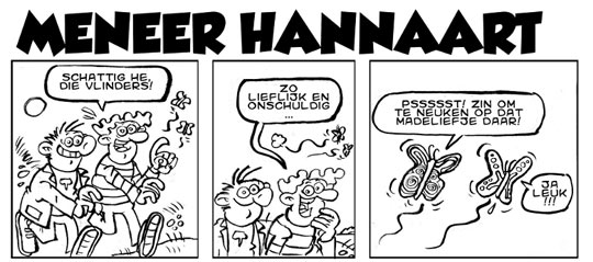 Meneer Hannaart by Thijs Hannaart