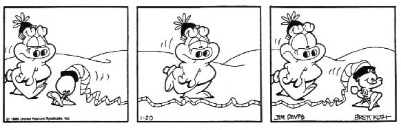 US Acres by Brett Koth