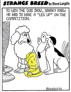 Cartoon by Steve Langille