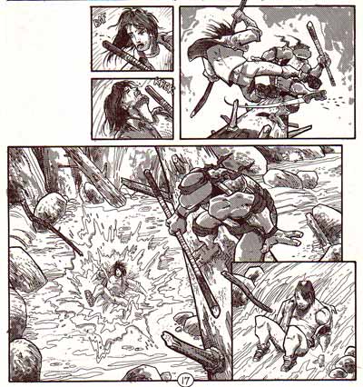 Teenage Mutant Ninja Turtles, by Jim Lawson