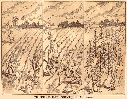 Culture Intensive, by A. Lemot