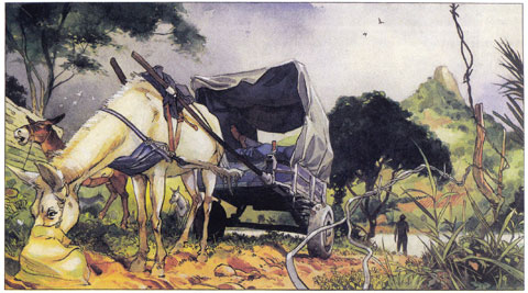 Muchacho, by Emmanuel Lepage