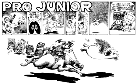 Pro Junior, by Peter Loft 1971