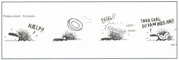 Kiroileva siili by Milla Paloniemi