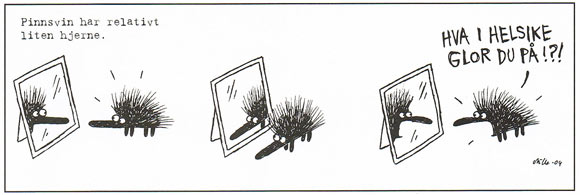 Kiroileva siili by Milla Paloniemi