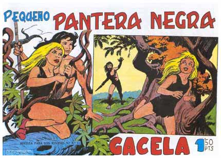 Pequeño Pantera Negra, by Miguel Quesada