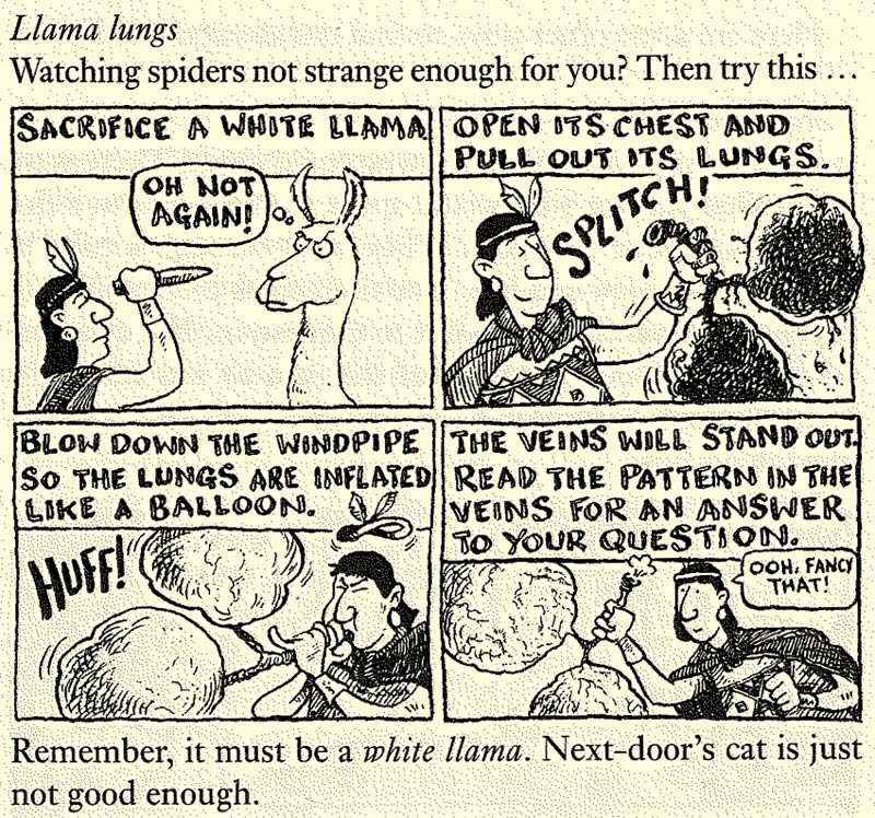 The Incredible Incas