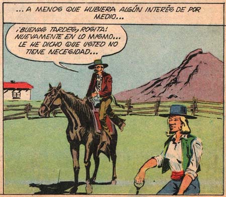 Zorro by Manuel Rojas