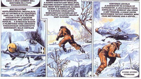 Pumas high and low by Endre Sarlös