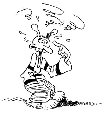 Les Conneries de Charlie Schlingo