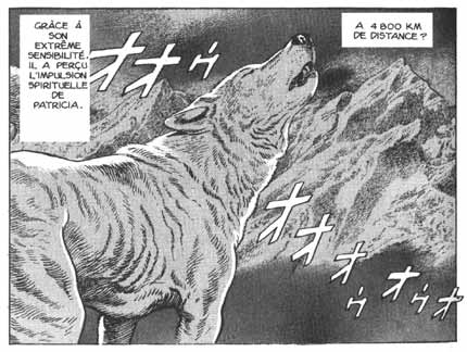 Le chien Blanco, by Jiro Taniguchi