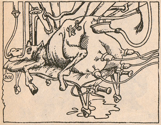 De thuiskomst van Theo Kraat by Fiel van der Veen