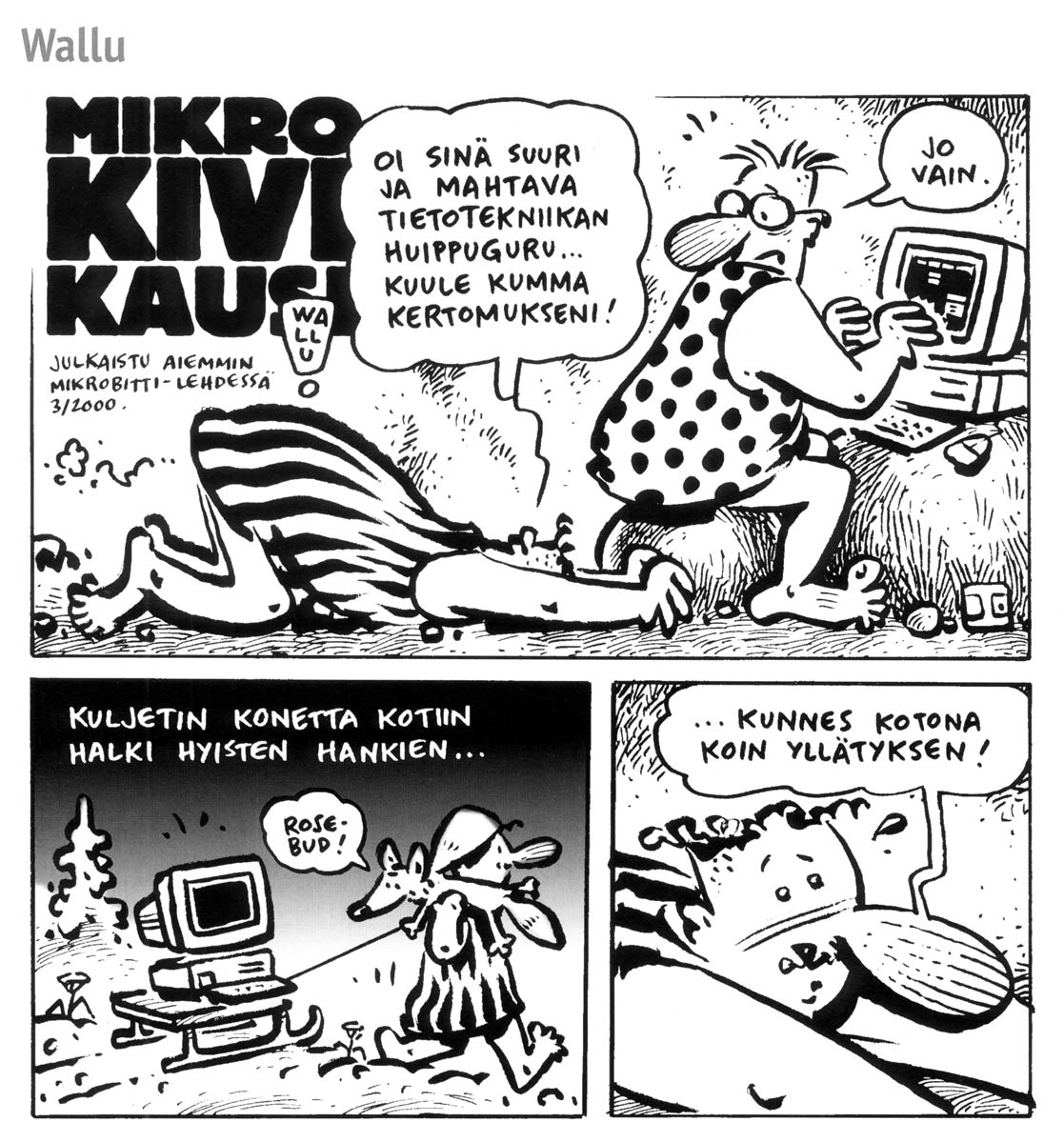 Mikrokivikausi, by Wallu