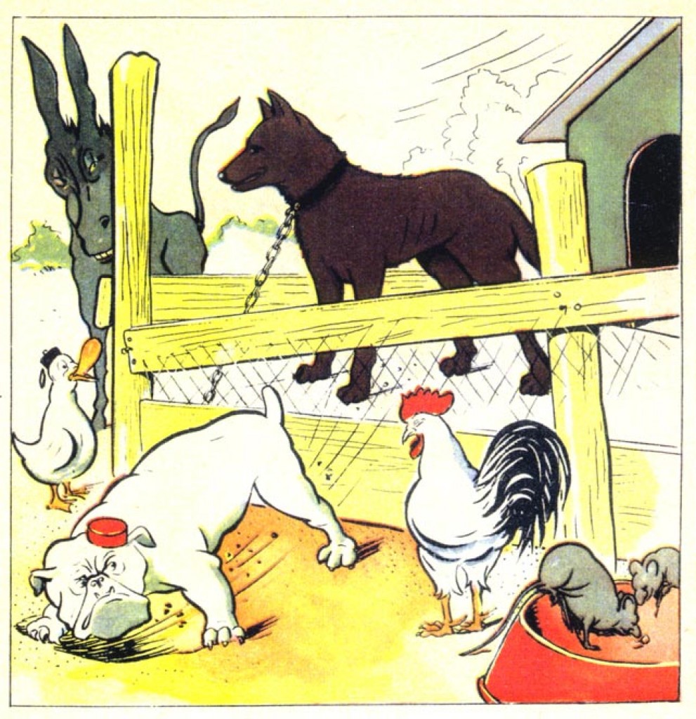 Marius J. G.  Thomassen