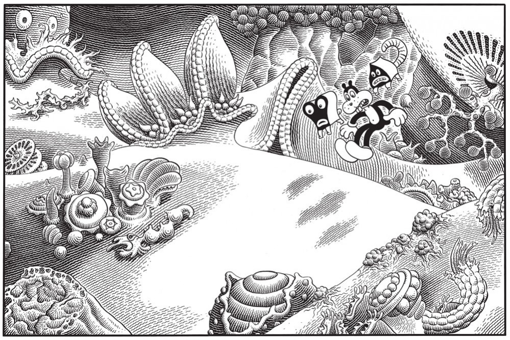 Jim  Woodring