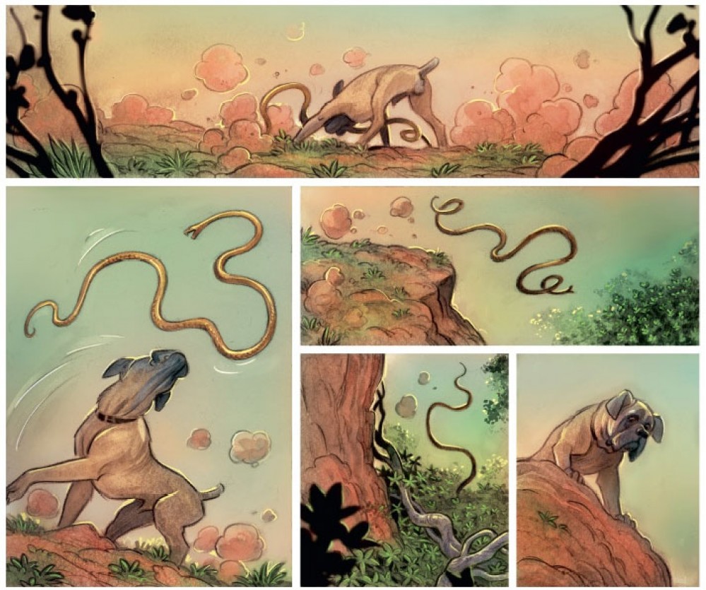 Federico  Bertolucci