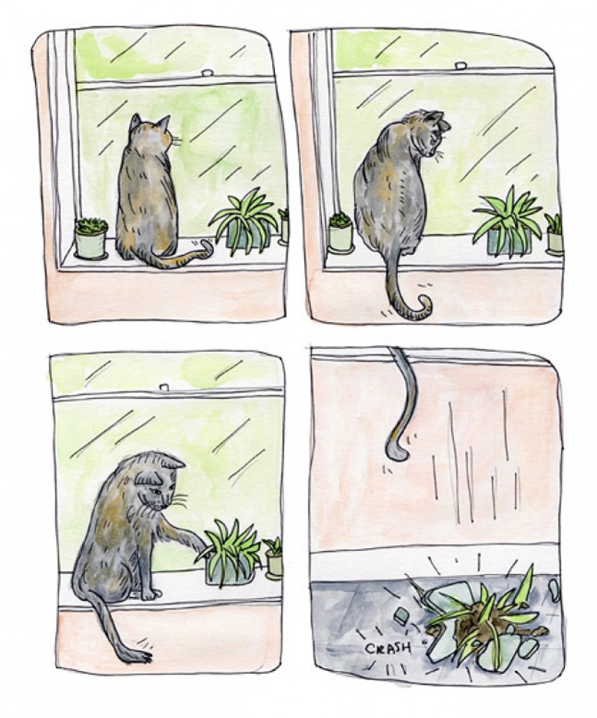 Lauren Mary  Barnett