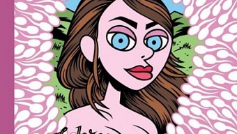 Sam Peeters in Lambiek