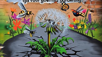 Signeersessie Hanco Kolk